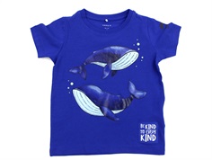 Name It surf the web animal planet t-shirt